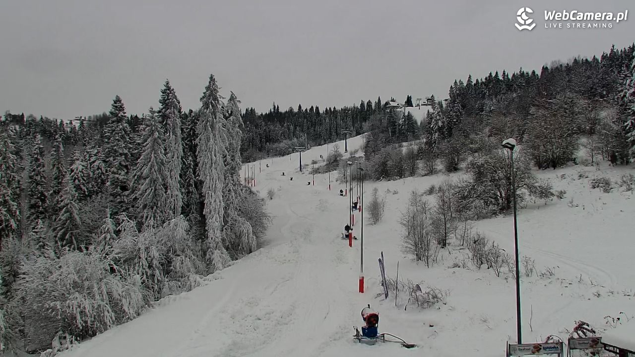 Kotelnica Białczańska - Remiaszów - 25 listopad 2025, 08:14