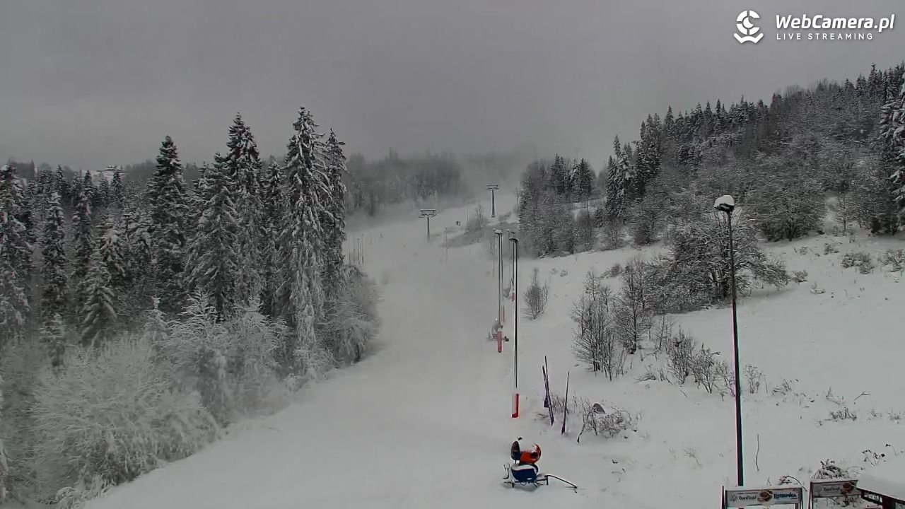 Kotelnica Białczańska - Remiaszów - 23 listopad 2025, 12:37