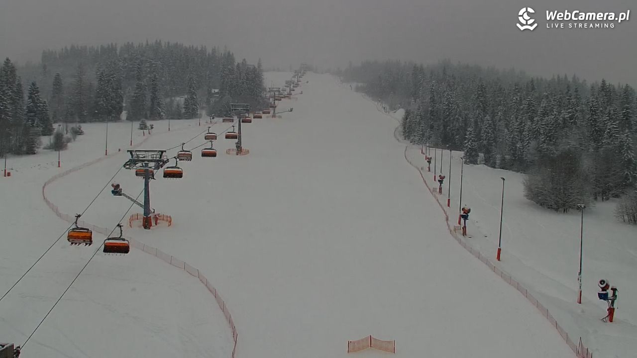 Kotelnica Białczańska - Remiaszów - 08 styczeń 2026, 09:01