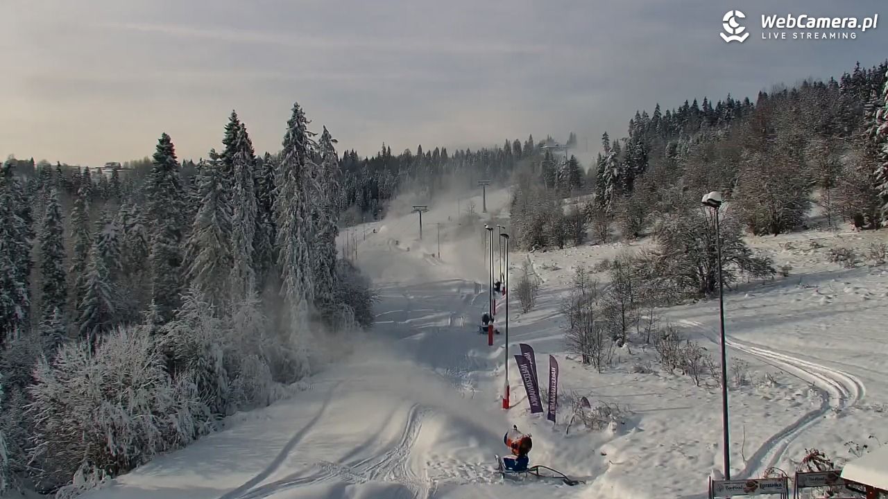 Kotelnica Białczańska - Remiaszów - 24 listopad 2025, 12:22