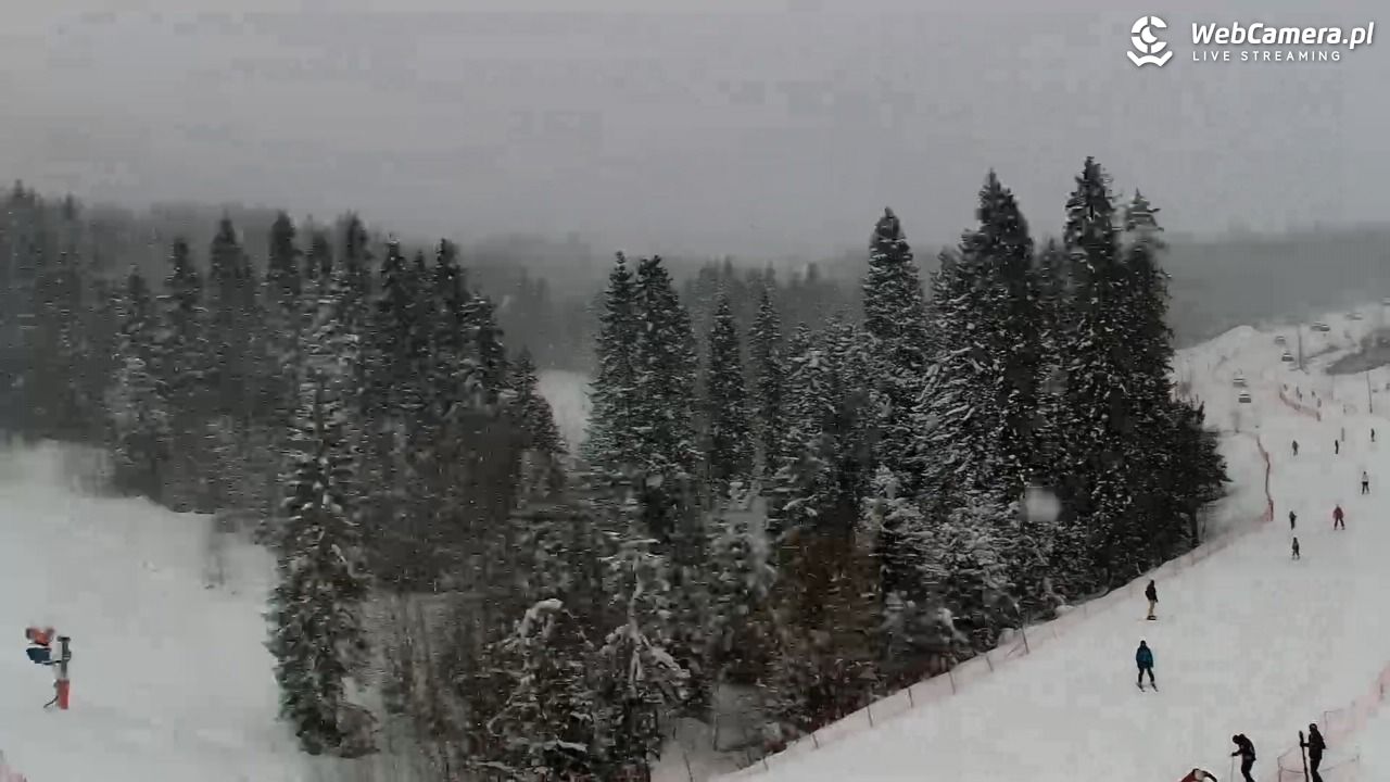 Kotelnica Białczańska - Remiaszów - 11 styczeń 2026, 13:09