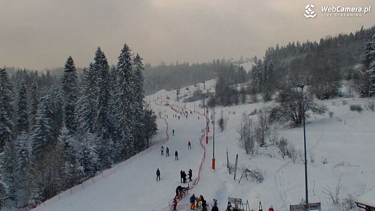 Kotelnica Białczańska - Remiaszów - 08 styczeń 2026, 13:22