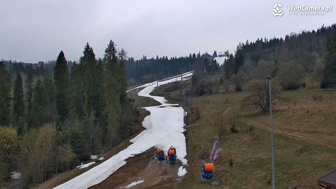 Kotelnica Białczańska - Remiaszów - 15 kwiecień 2026, 17:22