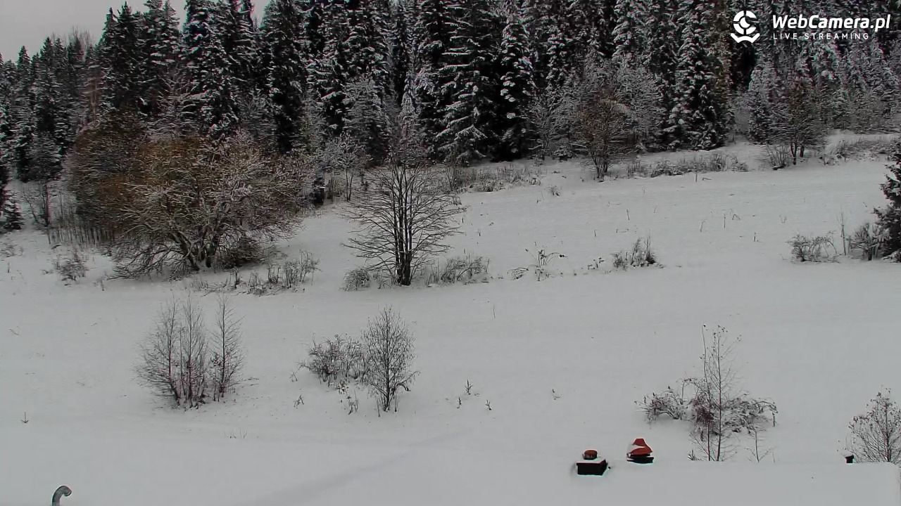 Kotelnica Białczańska - Remiaszów - 27 listopad 2025, 10:09