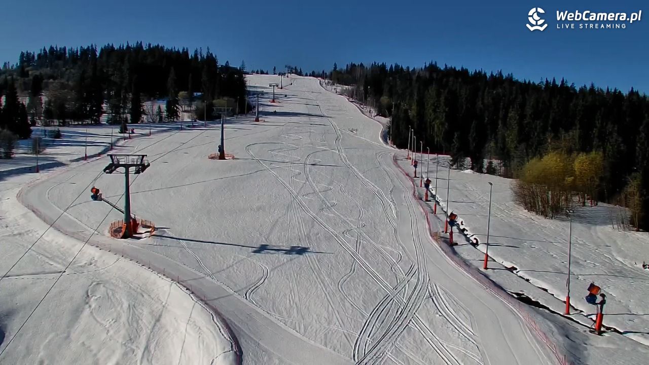 Kotelnica Białczańska - Remiaszów - 04 kwiecień 2026, 09:02