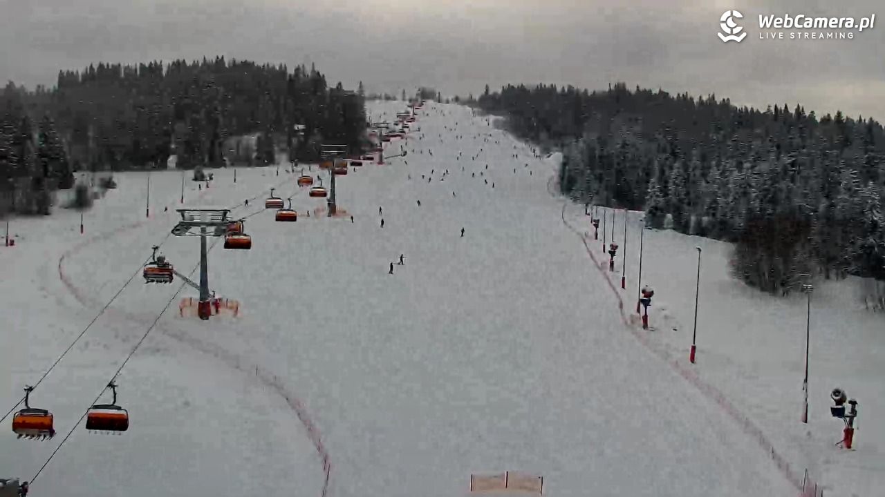 Kotelnica Białczańska - Remiaszów - 07 styczeń 2026, 12:19