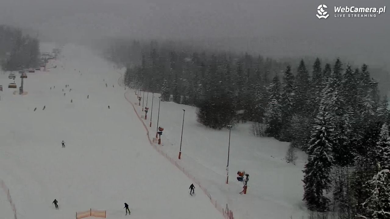 Kotelnica Białczańska - Remiaszów - 11 styczeń 2026, 11:19