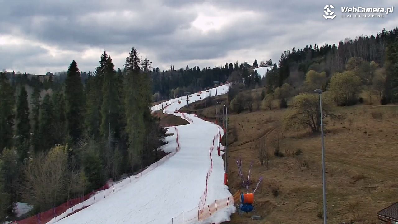 Kotelnica Białczańska - Remiaszów - 22 marzec 2026, 13:11