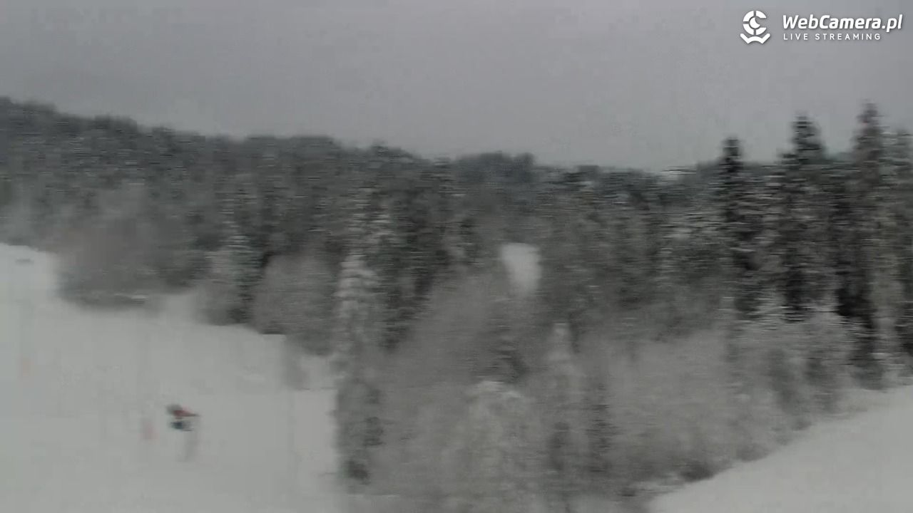 Kotelnica Białczańska - Remiaszów - 23 listopad 2025, 15:32