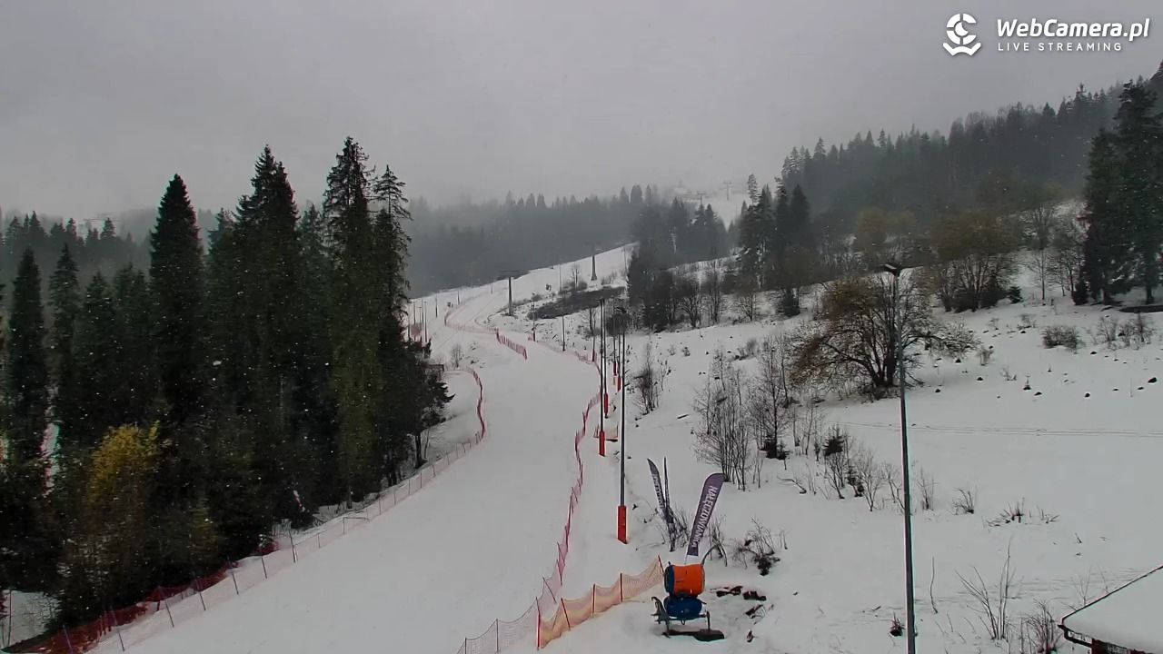 Kotelnica Białczańska - Remiaszów - 30 marzec 2026, 13:37