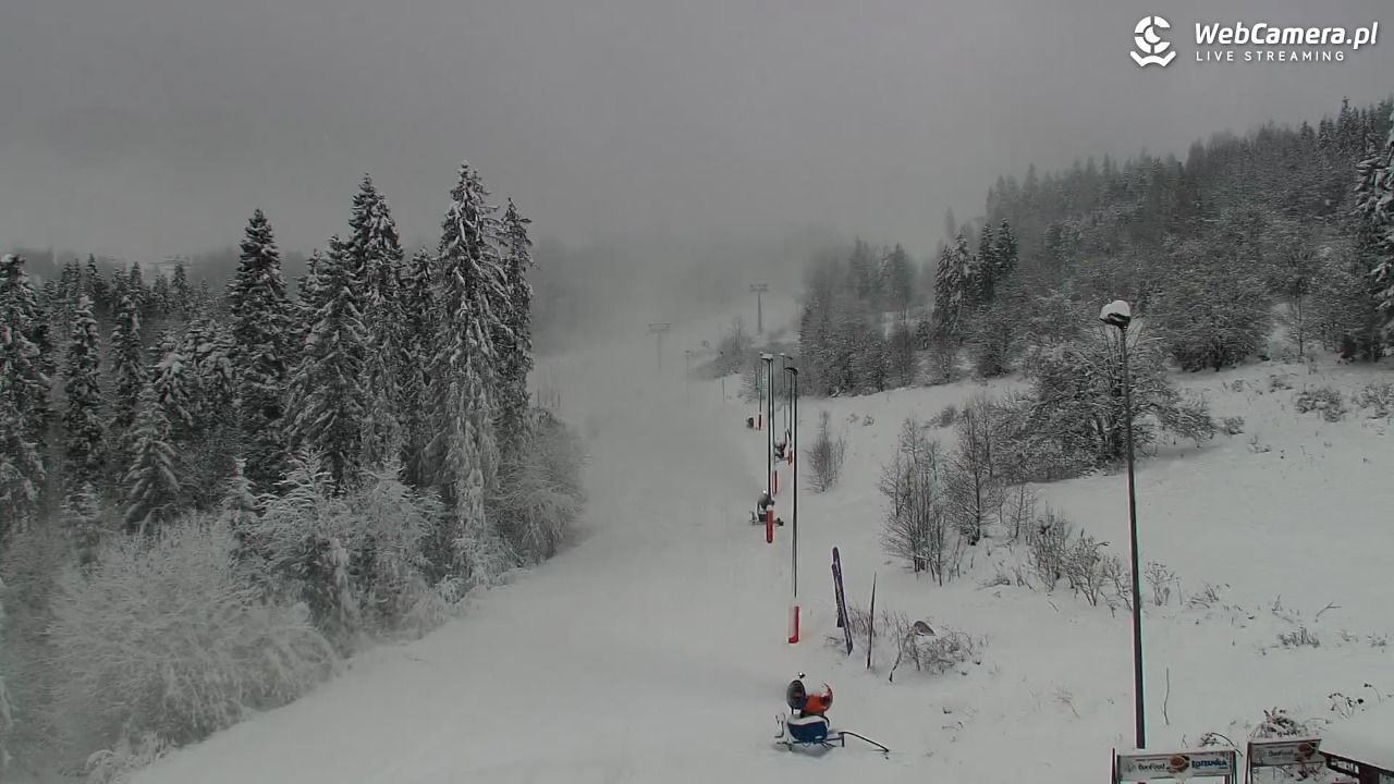 Kotelnica Białczańska - Remiaszów - 23 listopad 2025, 12:31