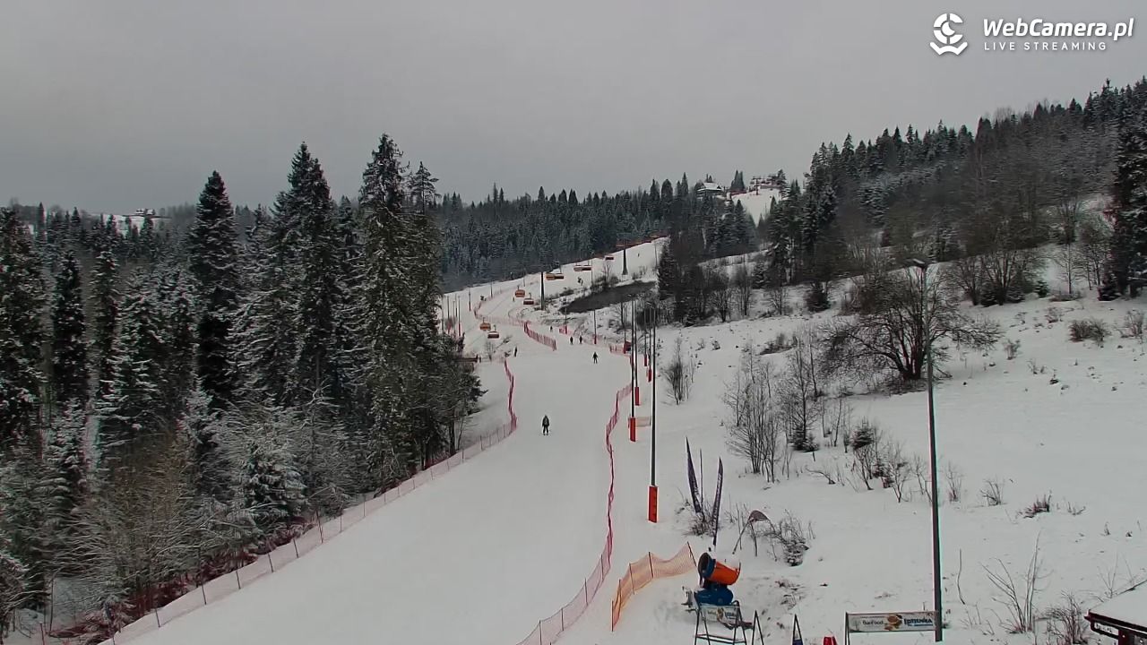 Kotelnica Białczańska - Remiaszów - 16 luty 2026, 09:54