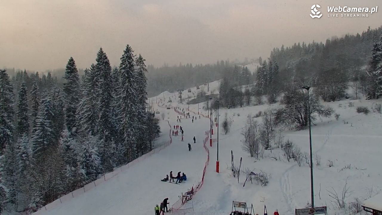 Kotelnica Białczańska - Remiaszów - 08 styczeń 2026, 13:09