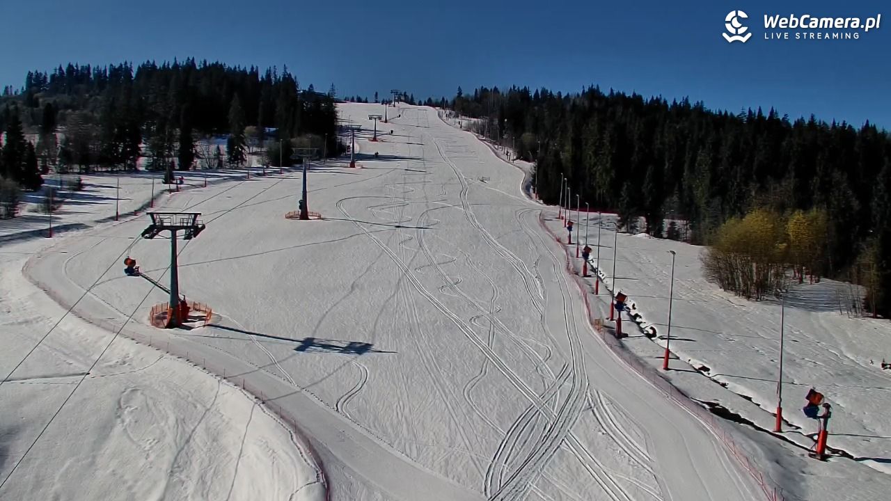 Kotelnica Białczańska - Remiaszów - 04 kwiecień 2026, 09:42