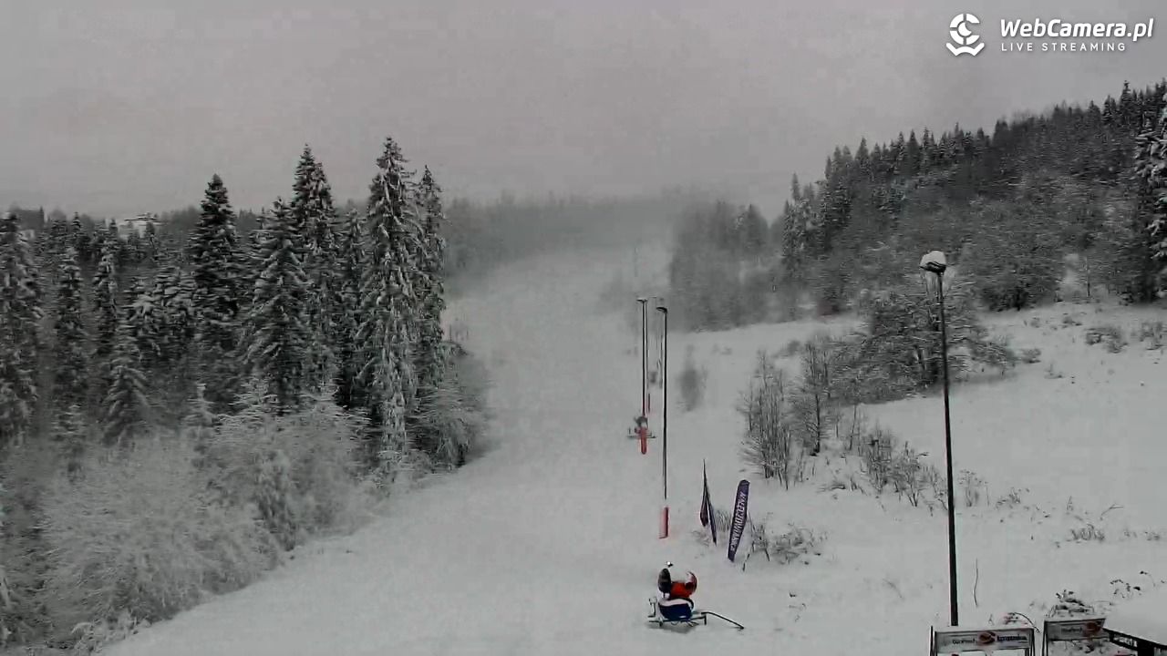 Kotelnica Białczańska - Remiaszów - 23 listopad 2025, 08:28