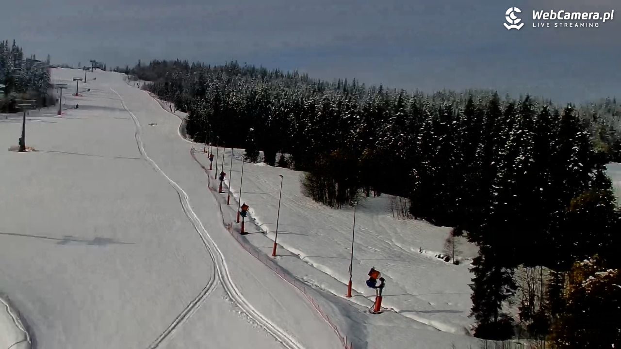 Kotelnica Białczańska - Remiaszów - 01 kwiecień 2026, 09:00