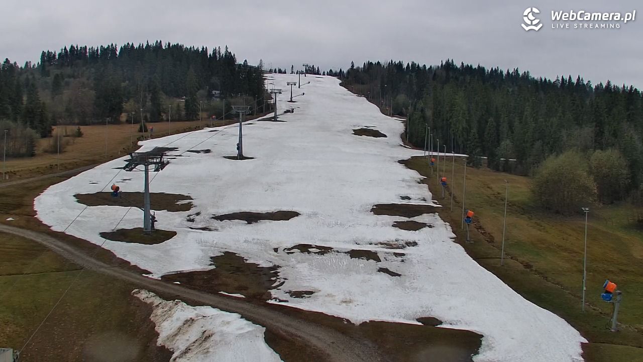 Kotelnica Białczańska - Remiaszów - 20 kwiecień 2026, 15:36