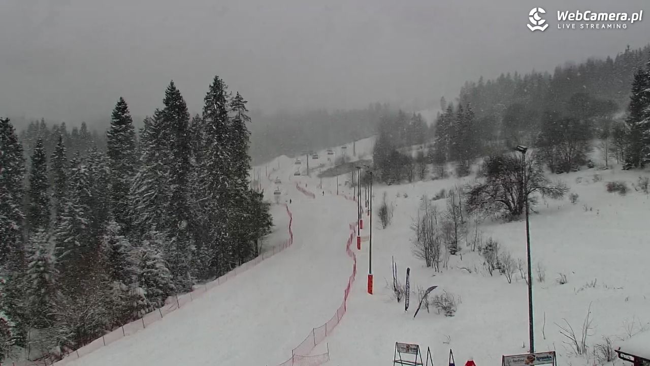 Kotelnica Białczańska - Remiaszów - 11 styczeń 2026, 09:37