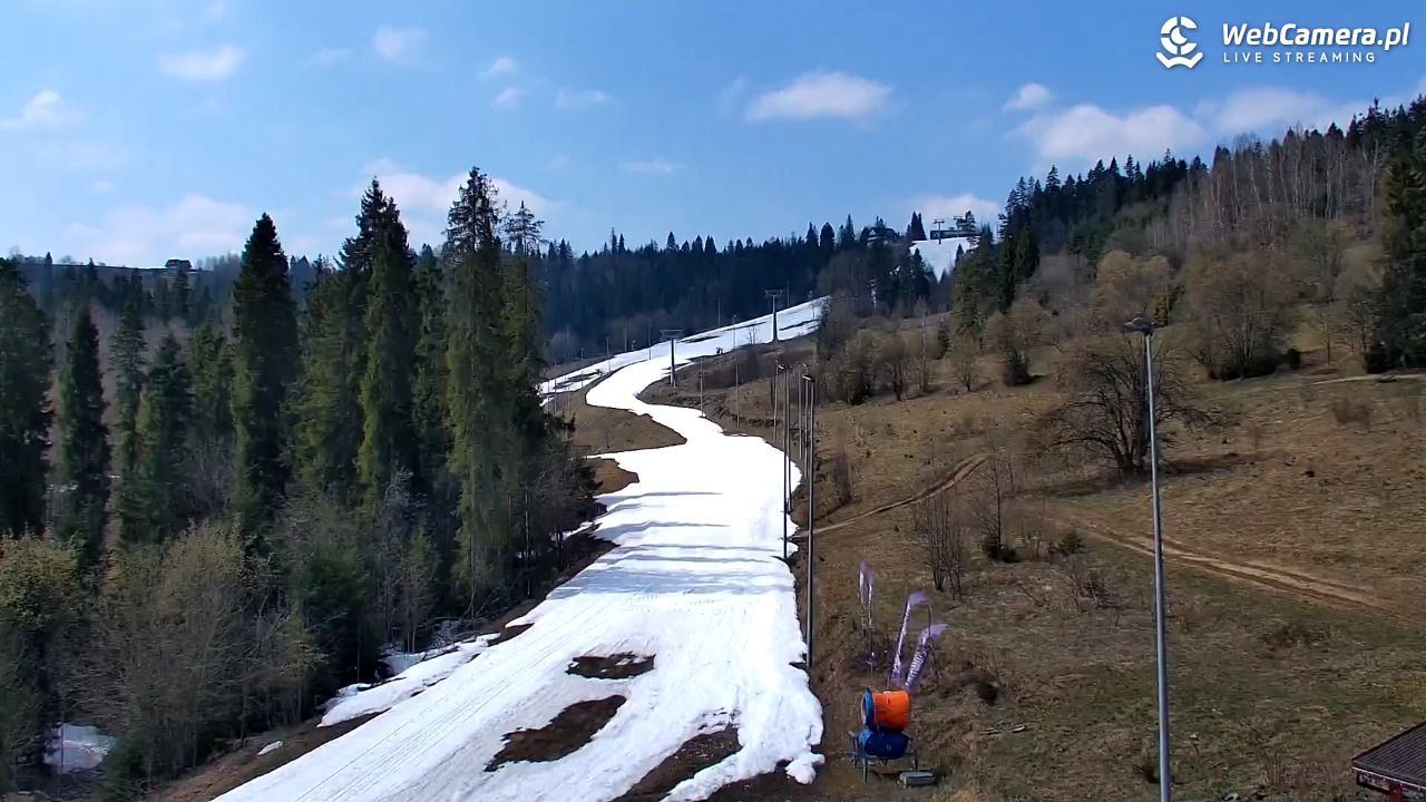 Kotelnica Białczańska - Remiaszów - 11 kwiecień 2026, 13:04