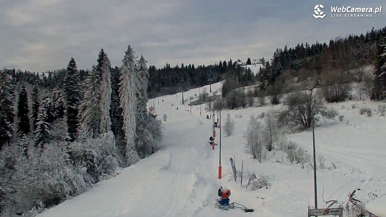 Kotelnica Białczańska - Remiaszów - 29 listopad 2025, 08:45