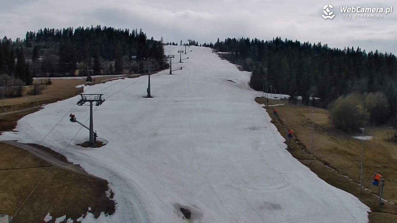 Kotelnica Białczańska - Remiaszów - 13 kwiecień 2026, 14:23