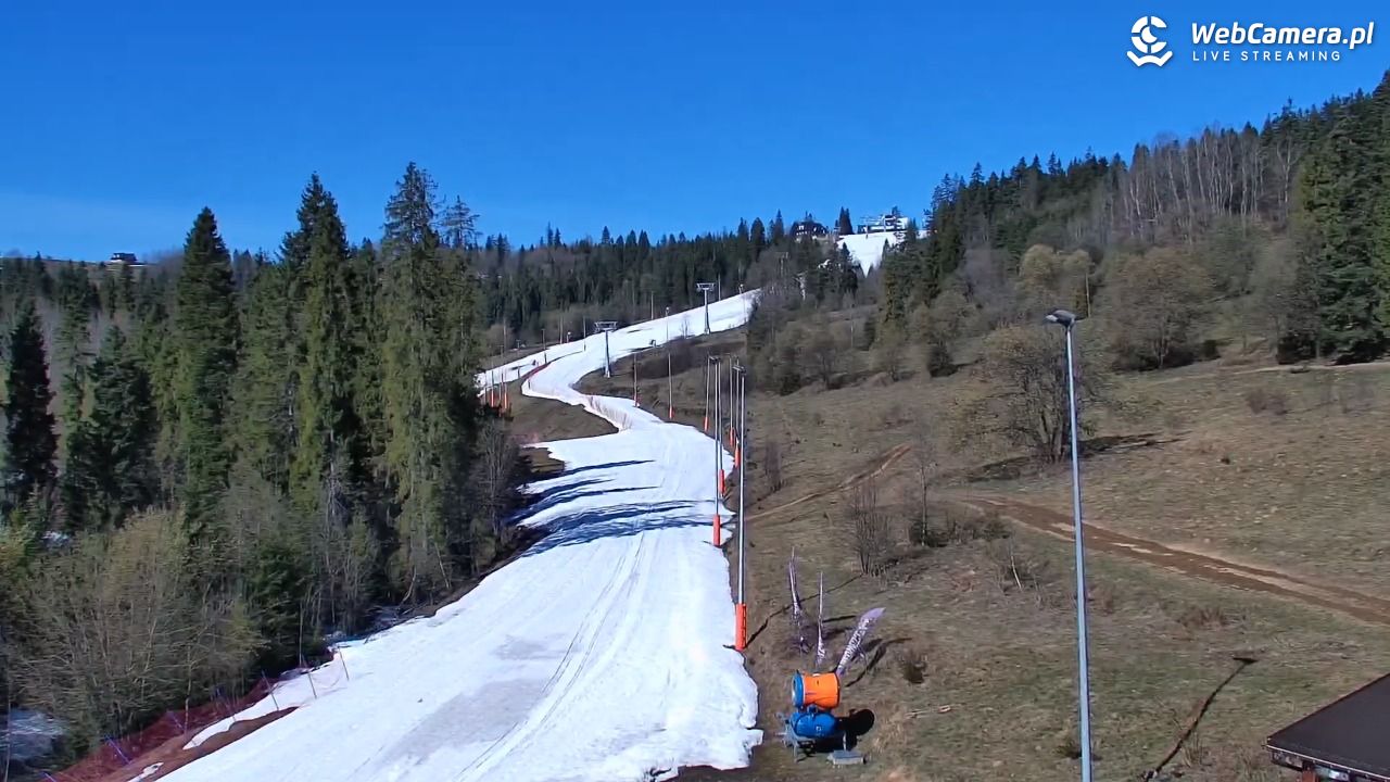 Kotelnica Białczańska - Remiaszów - 07 kwiecień 2026, 09:43