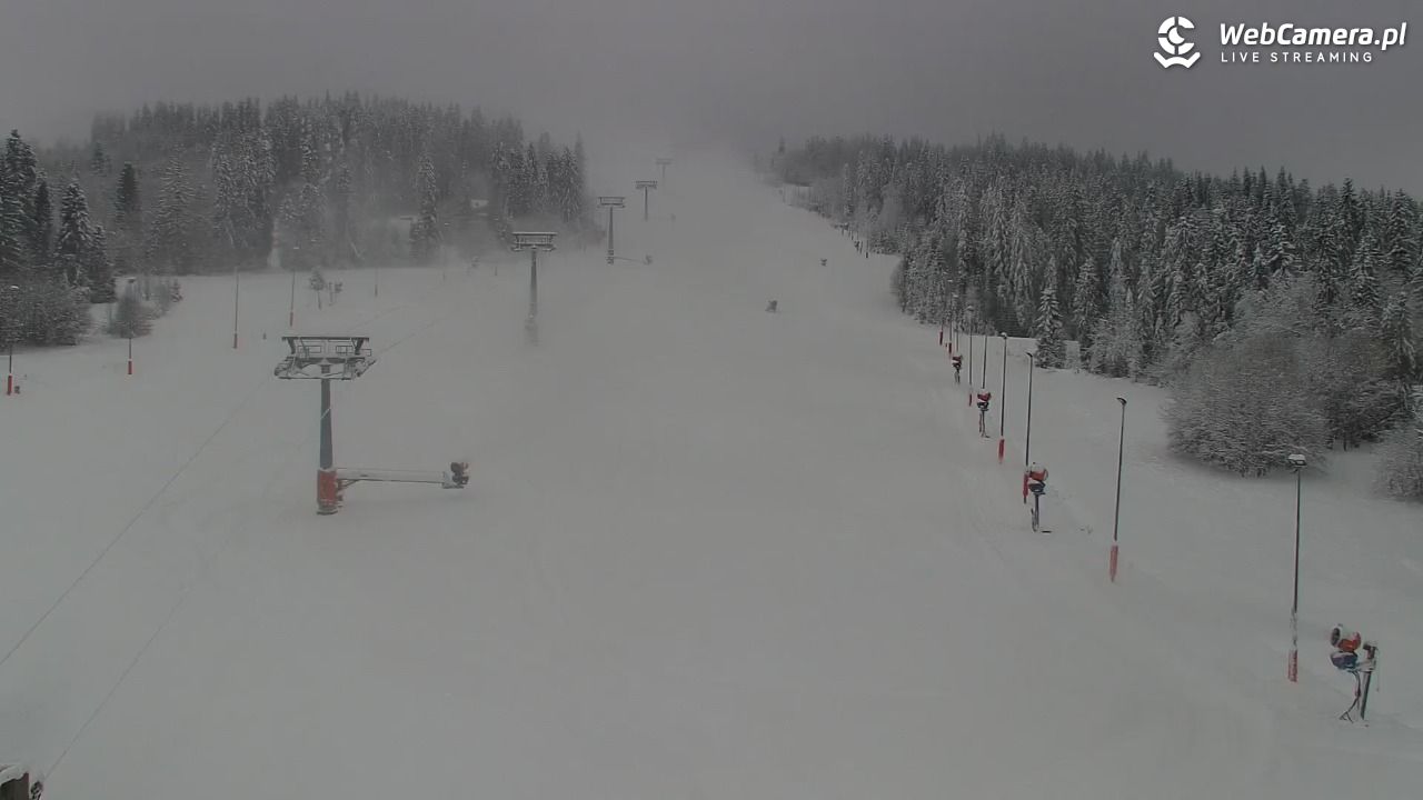 Kotelnica Białczańska - Remiaszów - 23 listopad 2025, 13:05