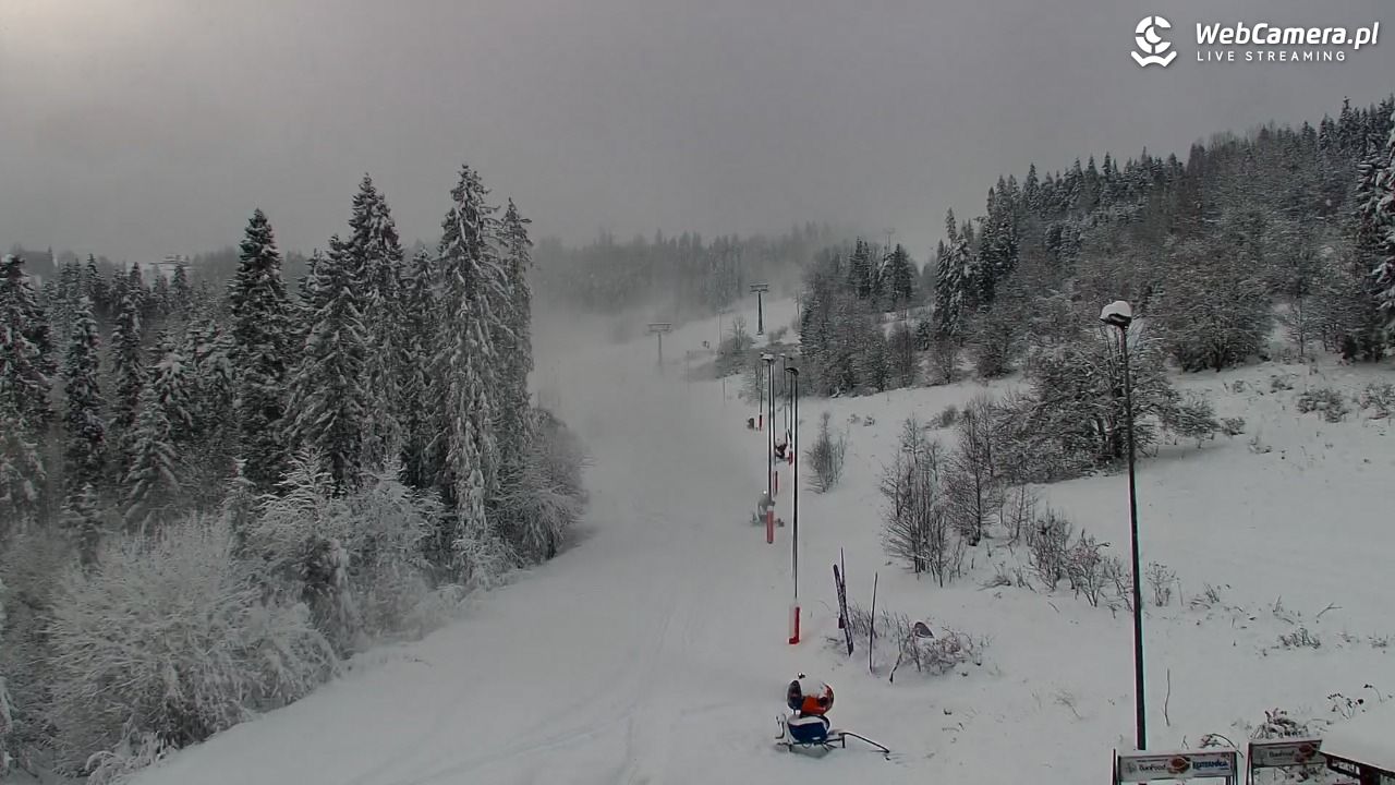 Kotelnica Białczańska - Remiaszów - 23 listopad 2025, 13:55