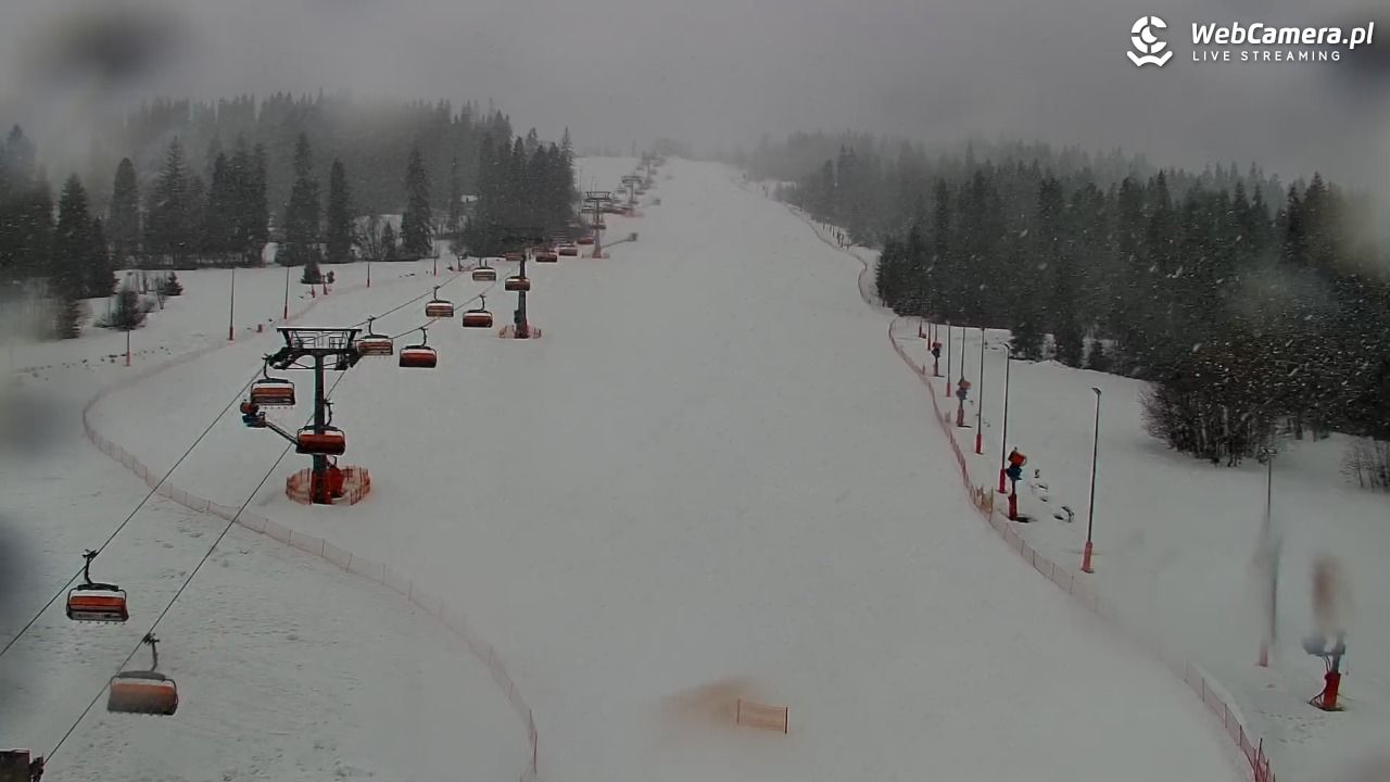 Kotelnica Białczańska - Remiaszów - 24 luty 2026, 07:49