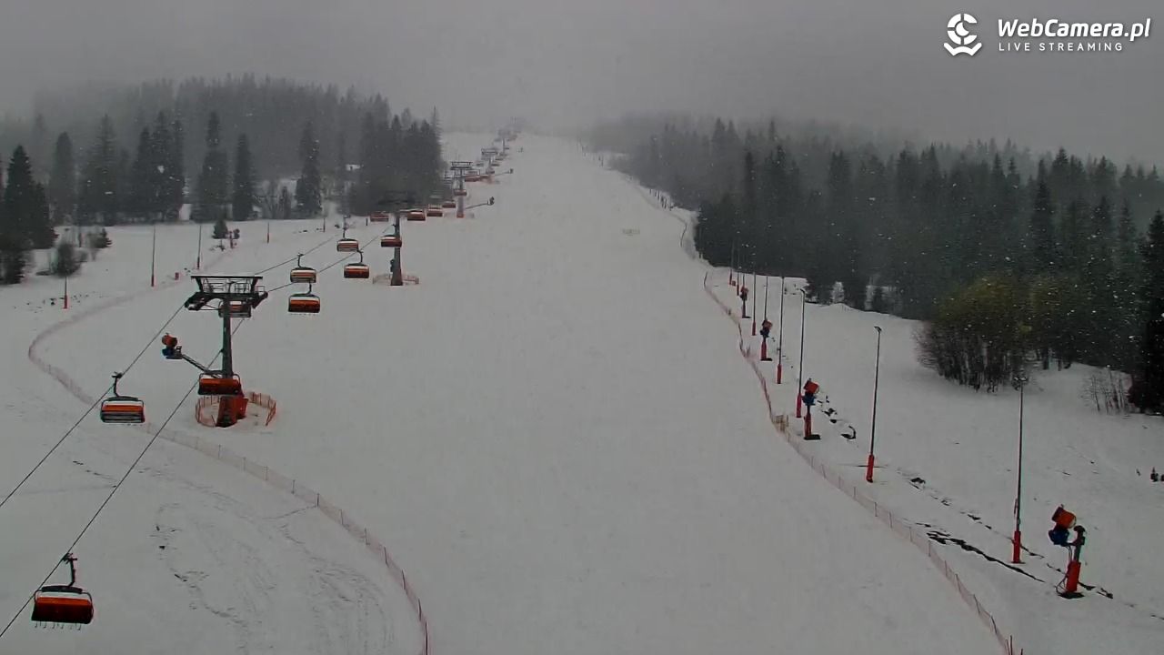 Kotelnica Białczańska - Remiaszów - 30 marzec 2026, 13:10