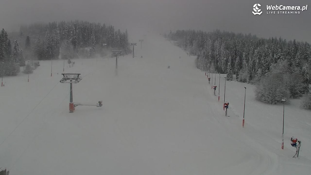 Kotelnica Białczańska - Remiaszów - 23 listopad 2025, 10:59