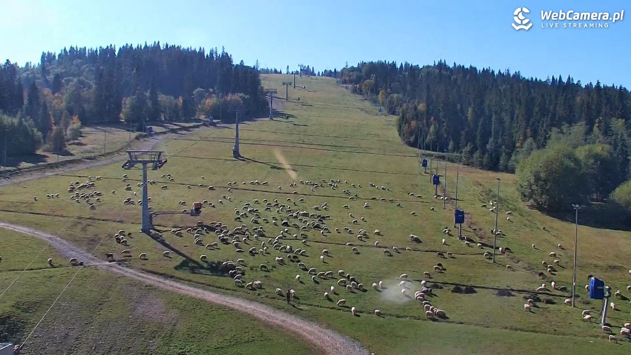 Kotelnica Białczańska - Remiaszów - 02 październik 2026, 11:25