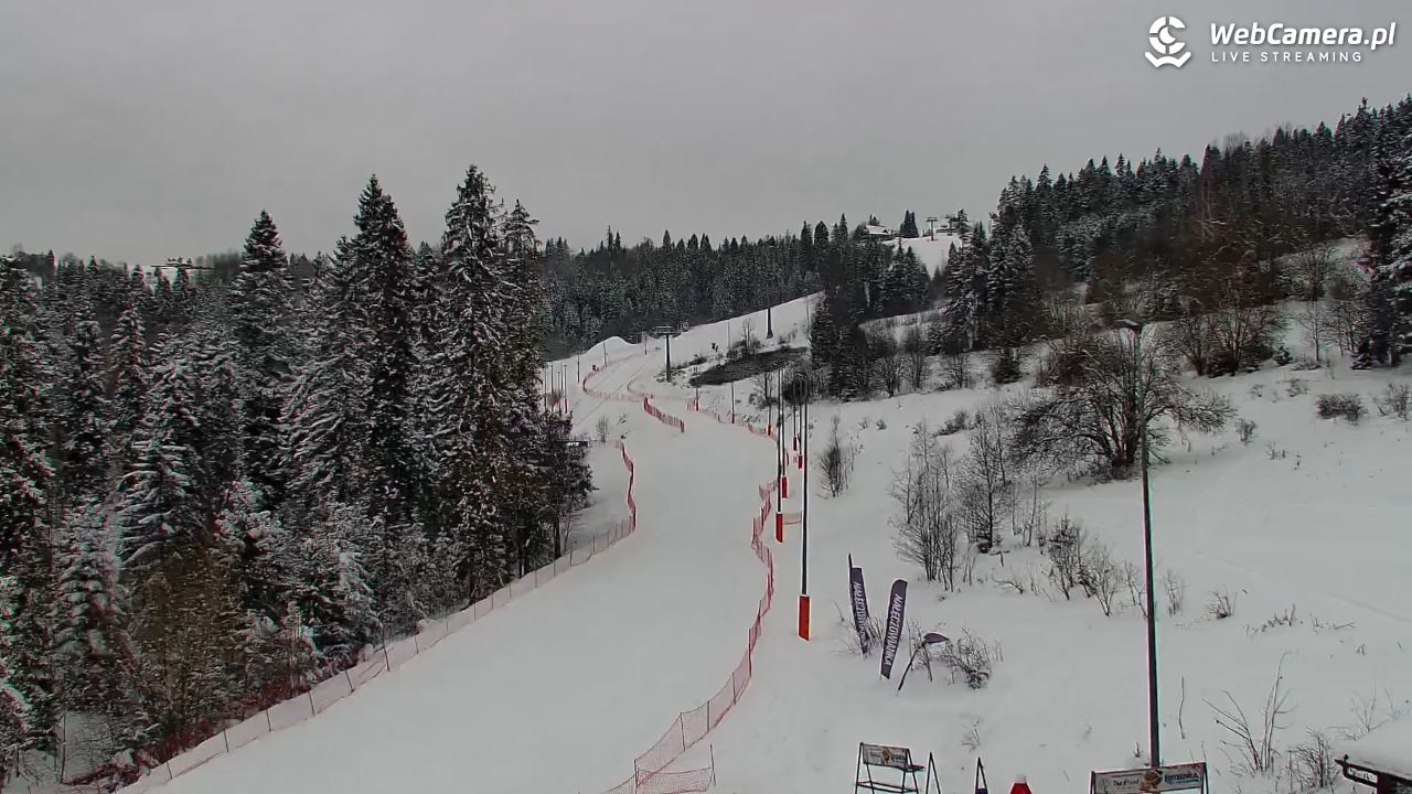 Kotelnica Białczańska - Remiaszów - 10 styczeń 2026, 07:55