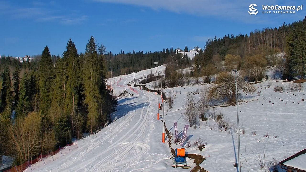 Kotelnica Białczańska - Remiaszów - 04 kwiecień 2026, 07:50