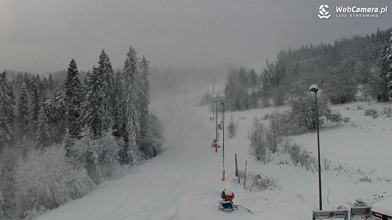 Kotelnica Białczańska - Remiaszów - 23 listopad 2025, 14:22