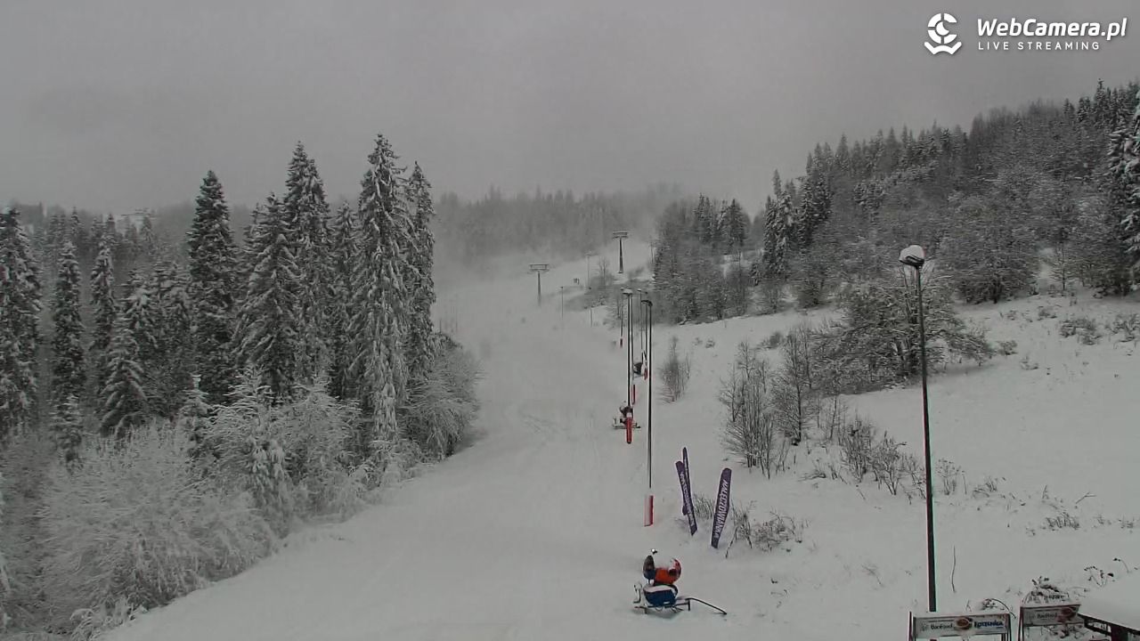 Kotelnica Białczańska - Remiaszów - 23 listopad 2025, 08:55