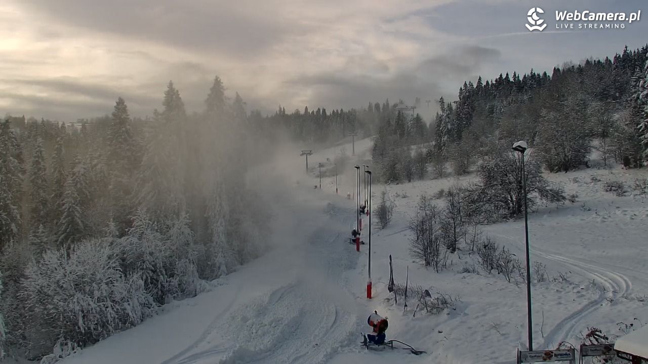 Kotelnica Białczańska - Remiaszów - 24 listopad 2025, 14:00