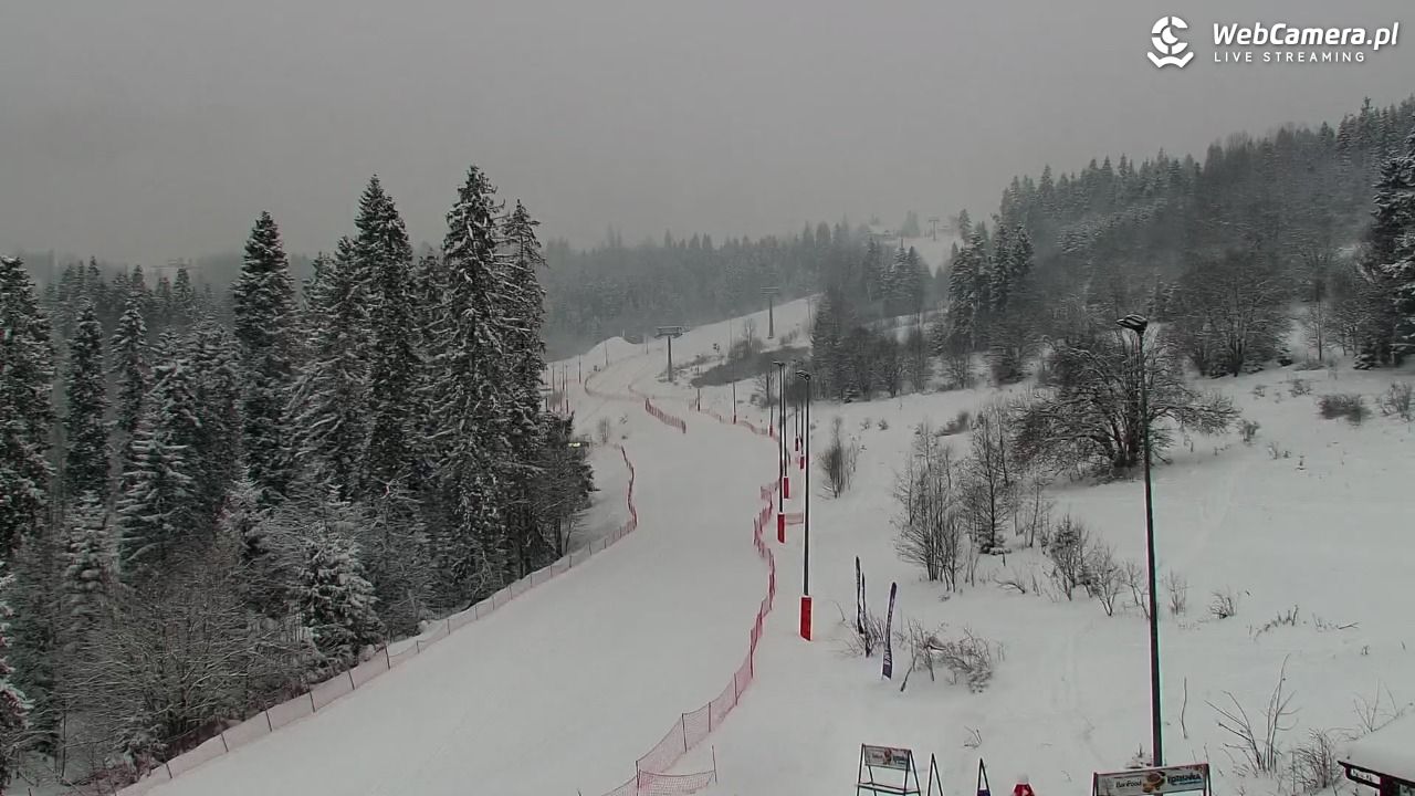 Kotelnica Białczańska - Remiaszów - 08 styczeń 2026, 07:43