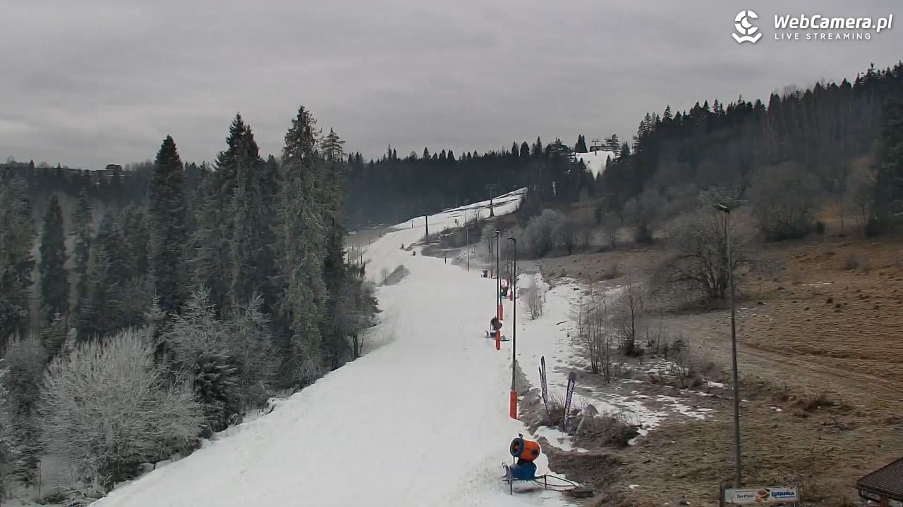 Kotelnica Białczańska - Remiaszów - 21 grudzień 2025, 09:35