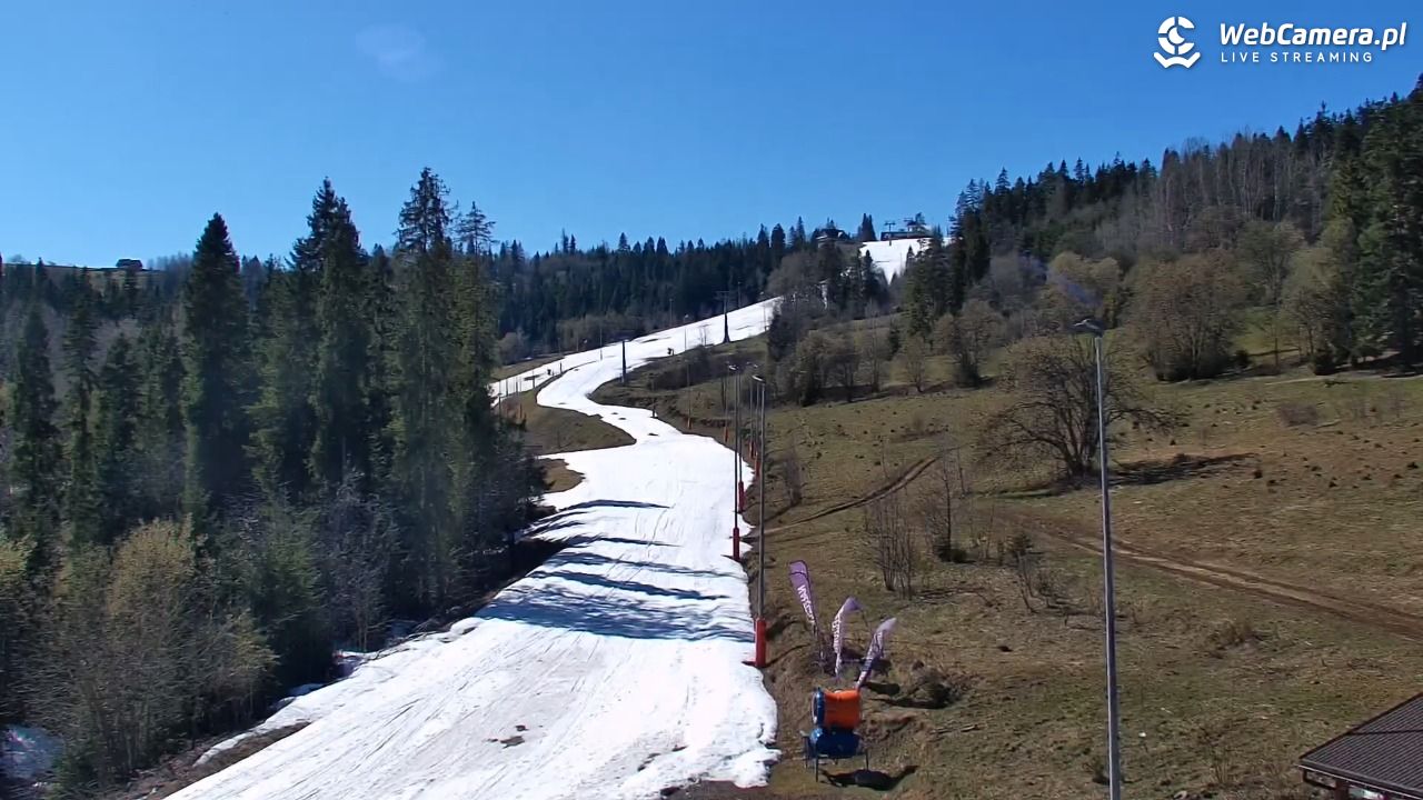 Kotelnica Białczańska - Remiaszów - 07 kwiecień 2026, 14:48