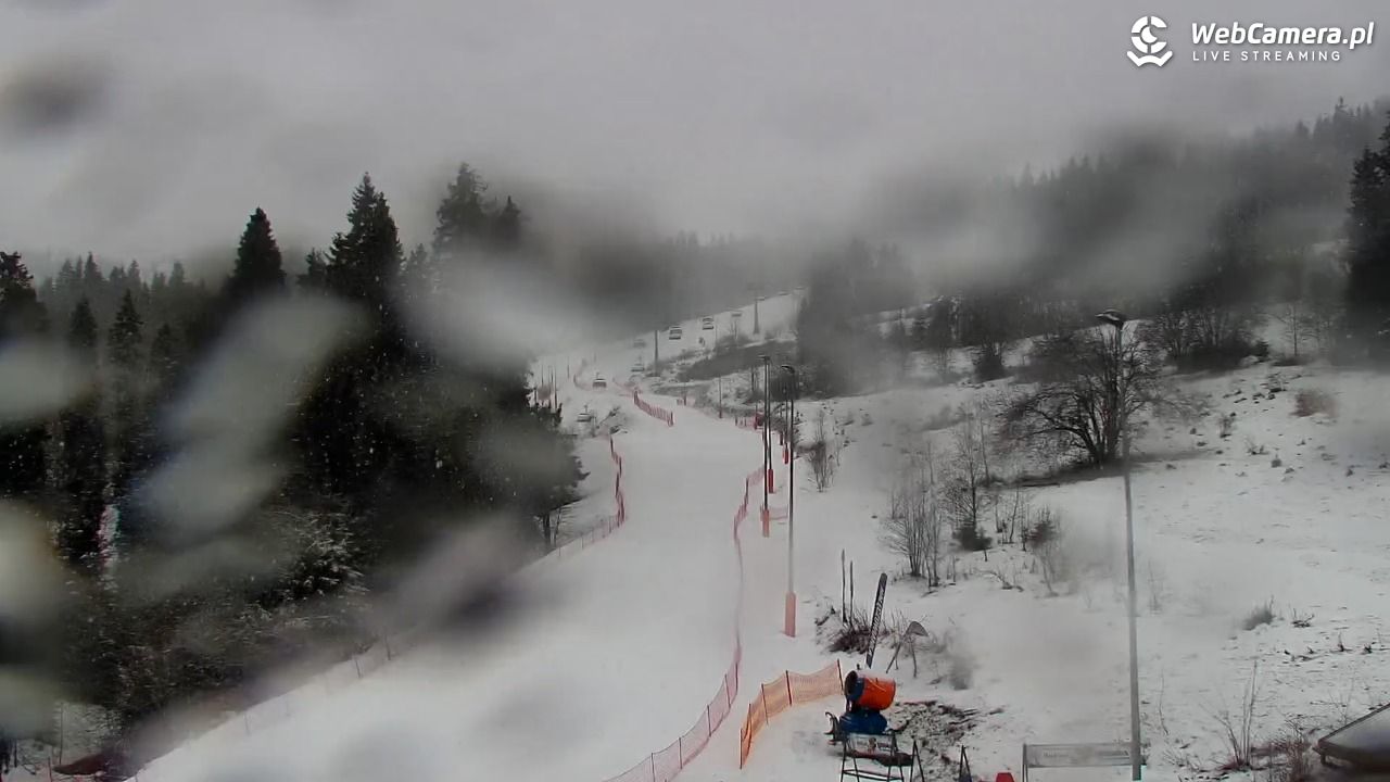 Kotelnica Białczańska - Remiaszów - 24 luty 2026, 08:52