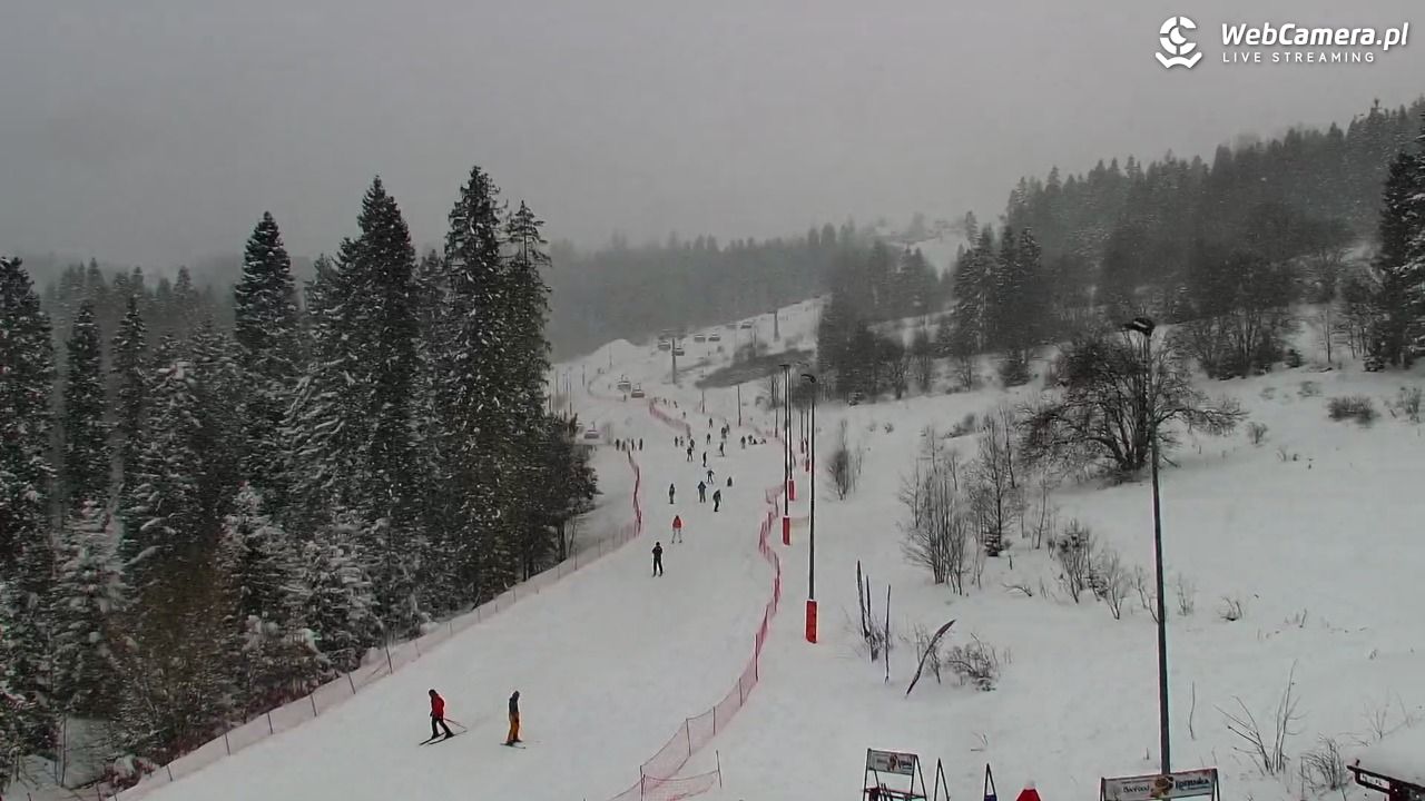 Kotelnica Białczańska - Remiaszów - 11 styczeń 2026, 14:49