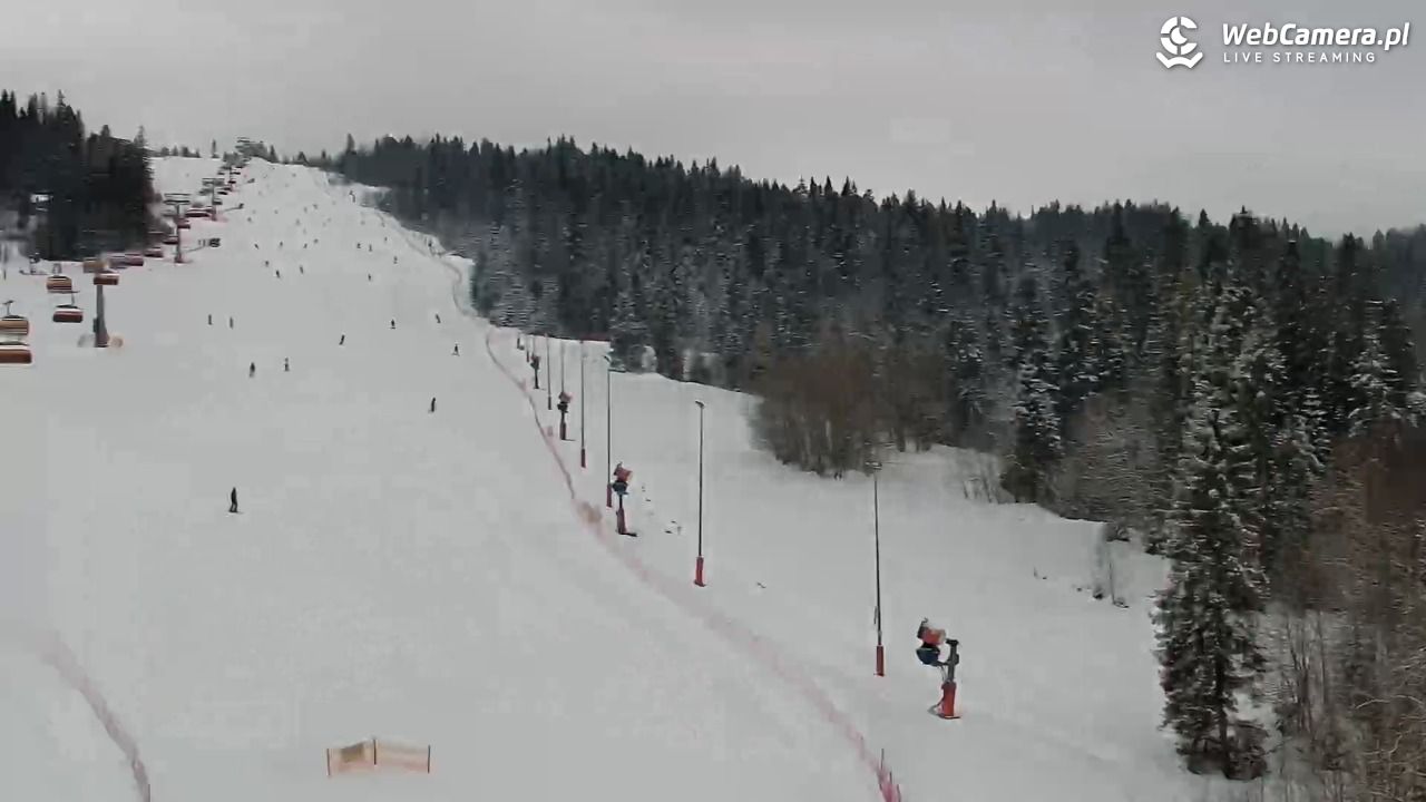 Kotelnica Białczańska - Remiaszów - 19 luty 2026, 09:24