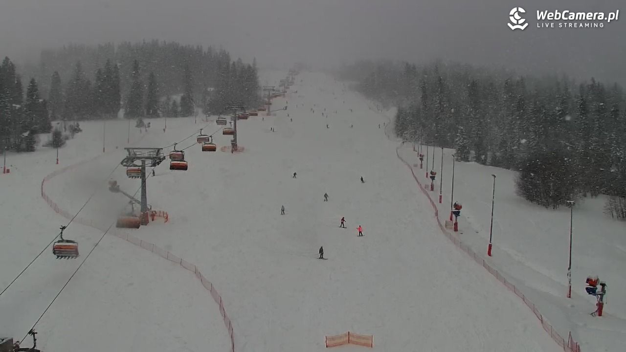 Kotelnica Białczańska - Remiaszów - 11 styczeń 2026, 11:04