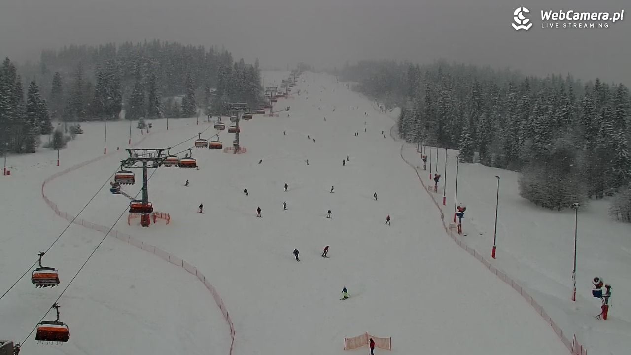 Kotelnica Białczańska - Remiaszów - 08 styczeń 2026, 09:51