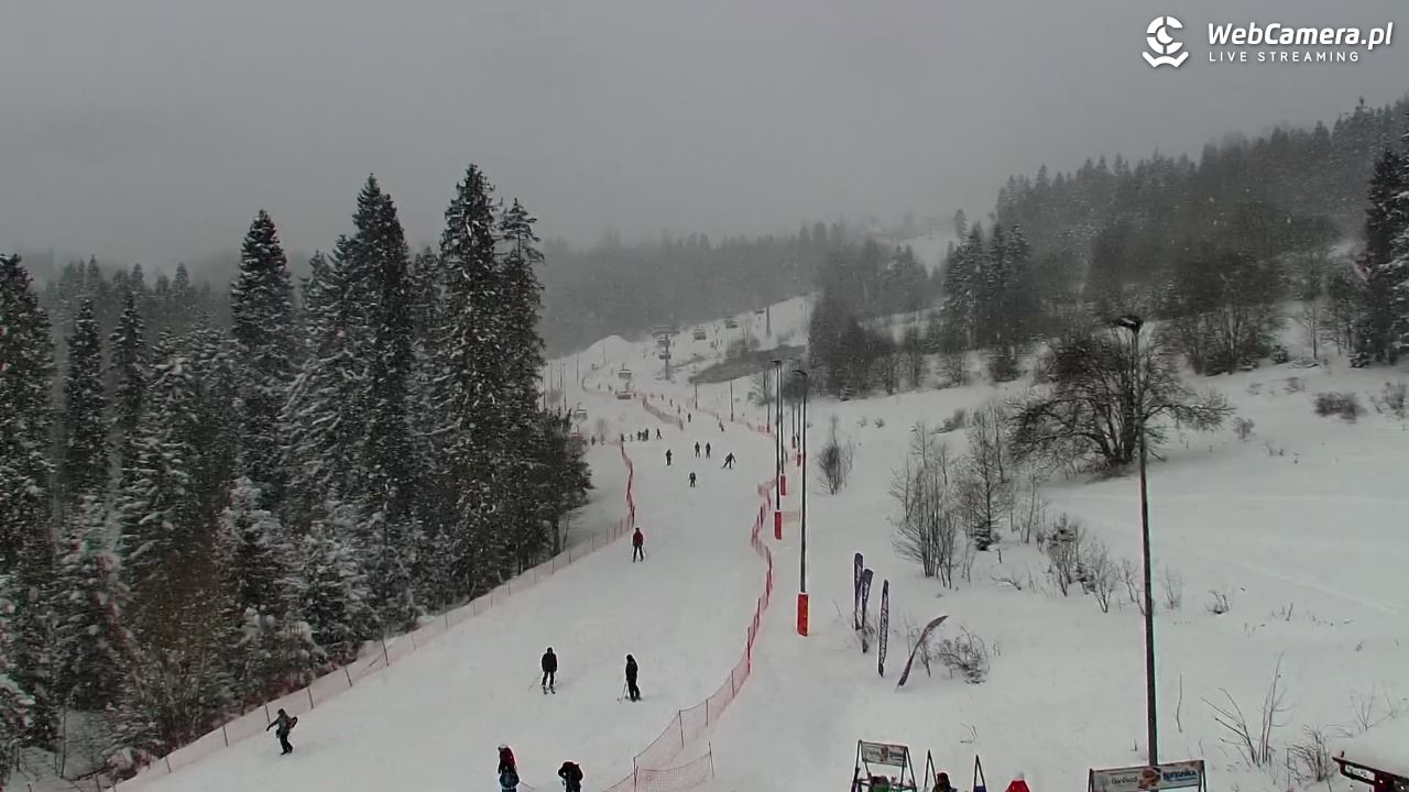 Kotelnica Białczańska - Remiaszów - 11 styczeń 2026, 12:48