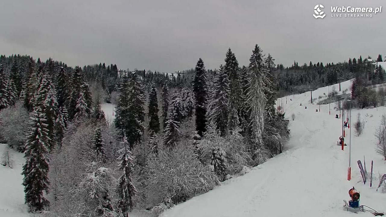 Kotelnica Białczańska - Remiaszów - 27 listopad 2025, 10:49