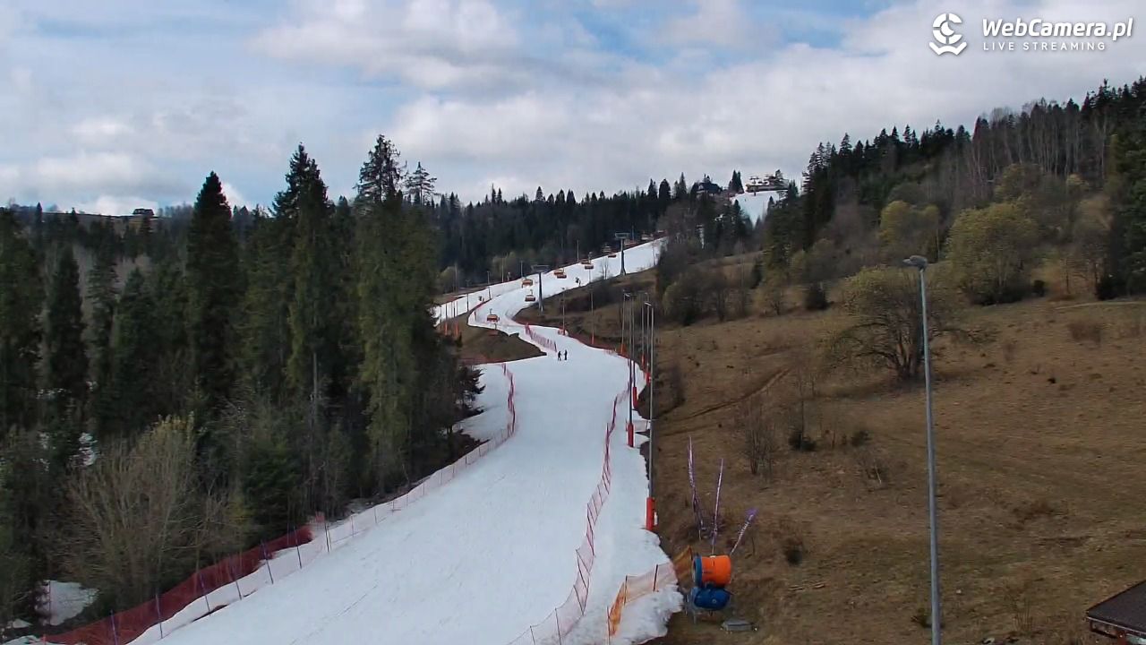 Kotelnica Białczańska - Remiaszów - 19 marzec 2026, 11:02