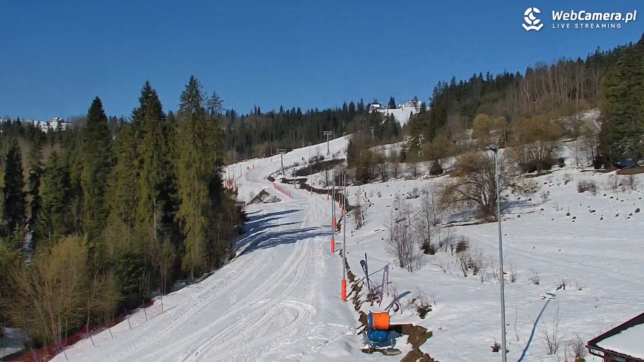 Kotelnica Białczańska - Remiaszów - 04 kwiecień 2026, 08:59