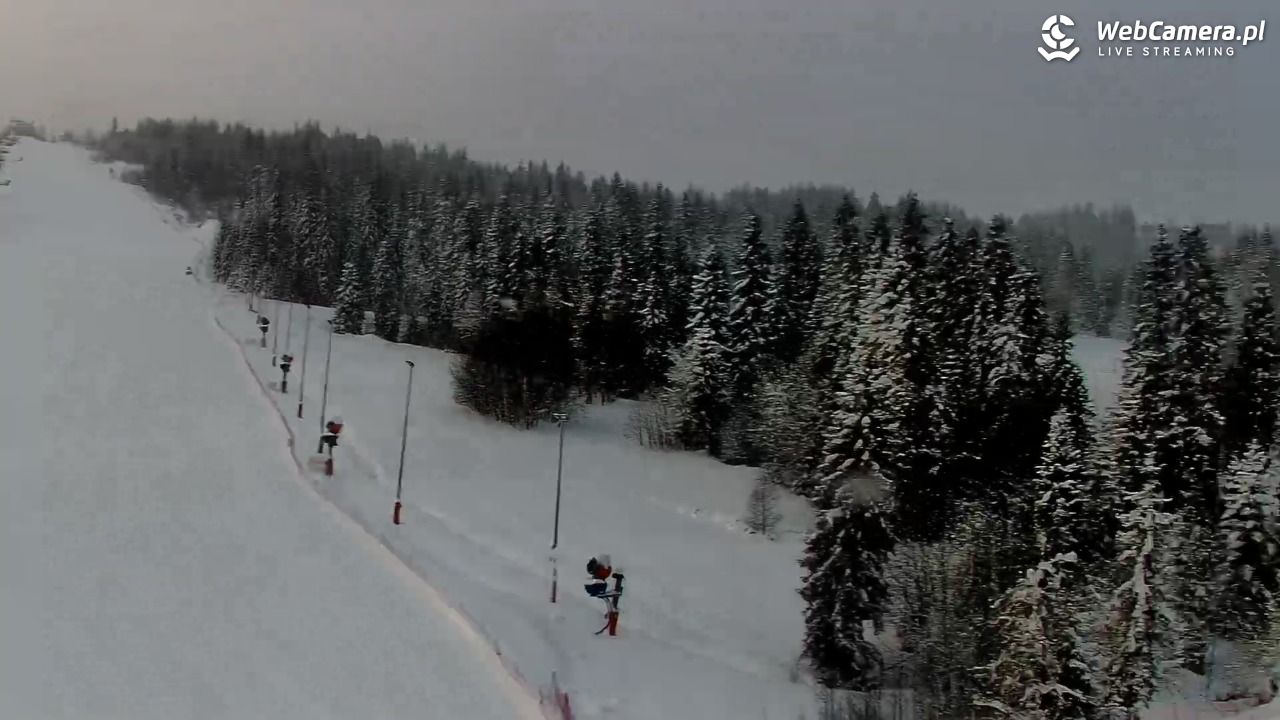 Kotelnica Białczańska - Remiaszów - 12 styczeń 2026, 09:00